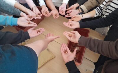 Projekt Šafran 2025.