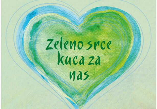 zs1