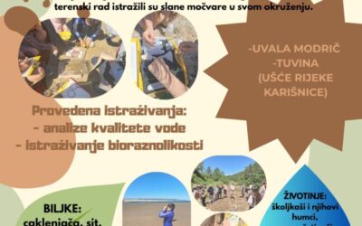 INTERPRETACIJSKI CENTAR MORA