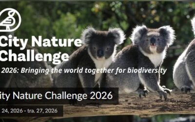 City Nature Challenge 2026.